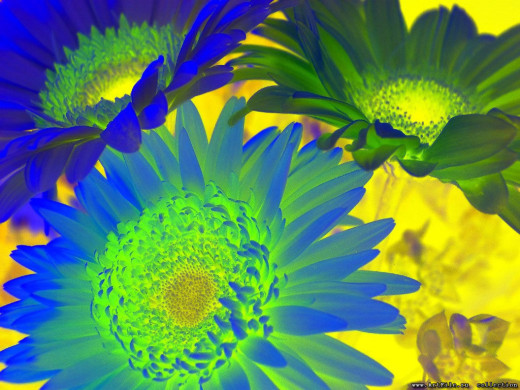 418971 (a): :1024x768